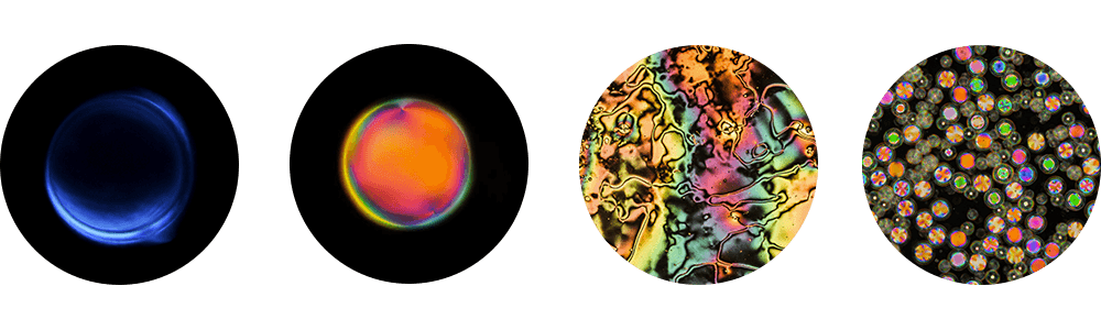 MICROSCOPE CONCEPT