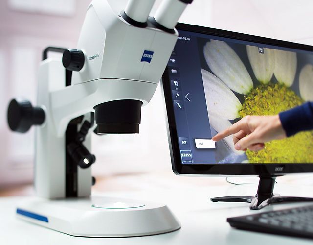 Stéréomicroscopes Zeiss