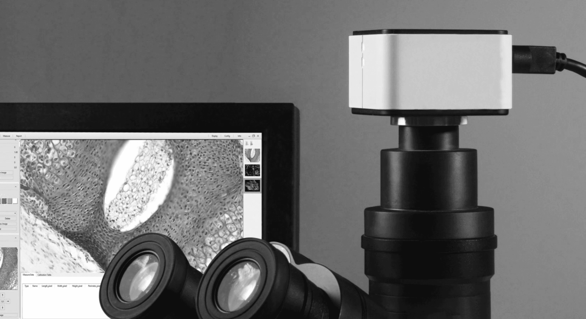 MICROSCOPE CONCEPT