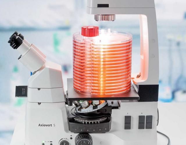 Un microcope à l'épreuve du temps
