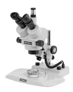 Stéréomicroscopes ZEISS SteREO Discovery V20